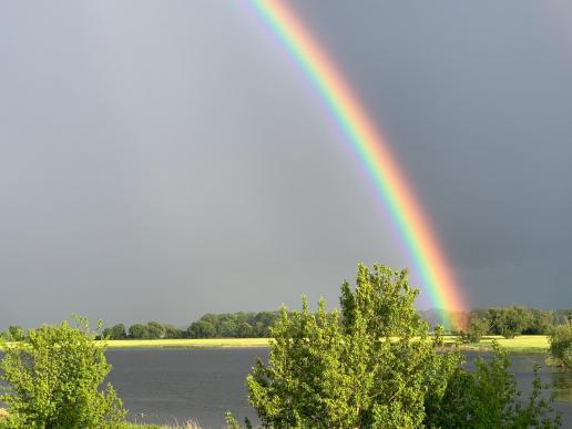 Der Regenbogen