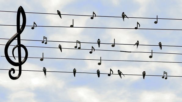 Kantate - eine Einladung zum Singen